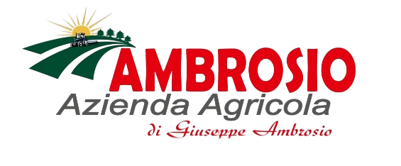 Ambrosio